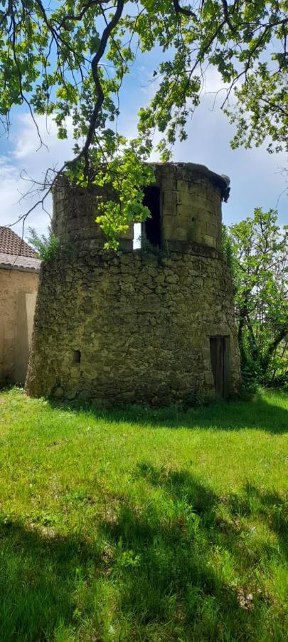 Villa Moulin de Bigorre Saint-Genès-de-Castillon Exterior foto